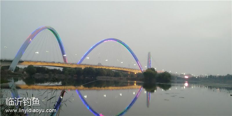 五路彩虹桥夜景